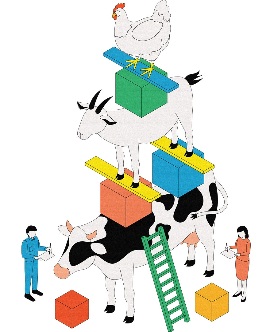Illustration av en ko, en get och en höna som balanserar på varandra bland färgglada lådor, medan två personer antecknar bredvid.