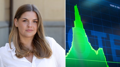 Börsrallyt som fick småspararna att vända hem