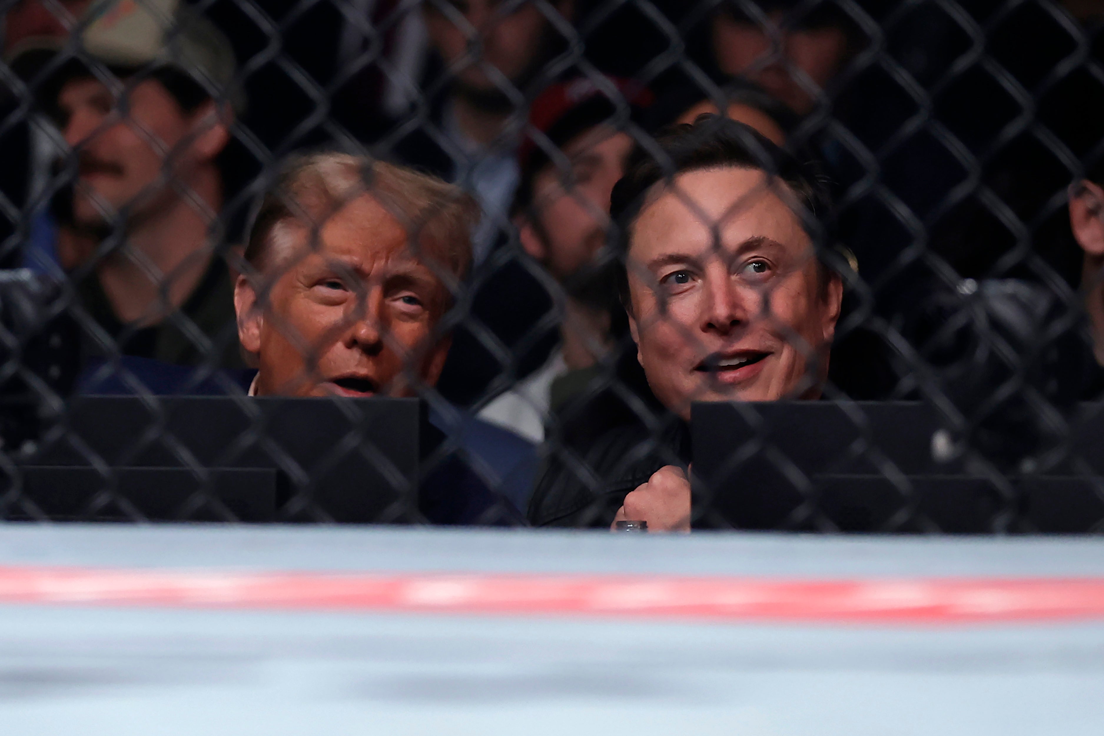 Spelet bakom Trumps utspel – relationen till Musk pekas ut