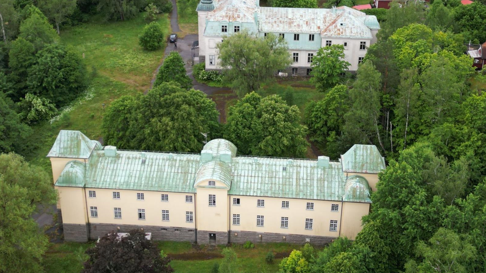 Bilden visar slottsliknande byggnader som är till salu i Motala. Byggnaderna är vita med grått/grönt tak.