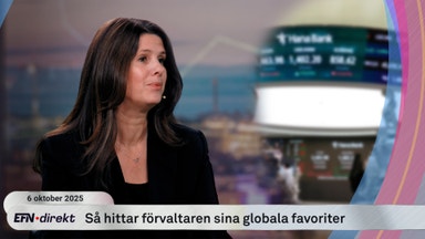 Förvaltarens toppval: Sju globala AI-vinnare