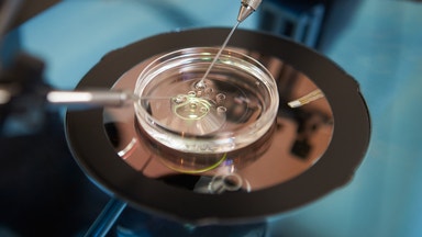 Vitrolife ser resultatfall i fjärde kvartalet