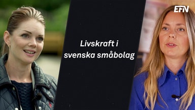 Från idé till succé - svenska entreprenörer i framkant