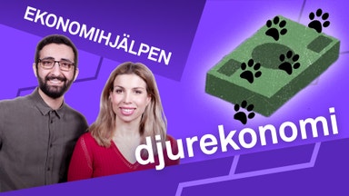 Pengarna bakom husdjuren