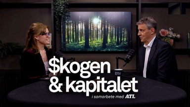 “Vi är vid botten nu” – SCA:s vd om en pressad marknad