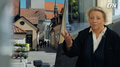 Sverige saknar ö-politik – Gotland betalar priset