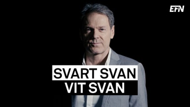Premiär för Svart svan, vit svan med Niklas Ekdal