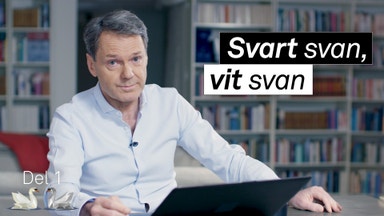På spaning efter svarta svanar