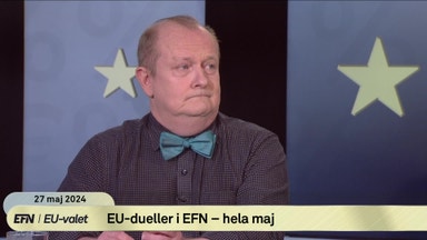 Dick Erixons känga mot de andra partierna: "Kastar paj och skit"