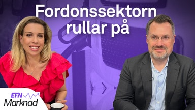 Tesla, Volvo och Polestar – så går det för fordonsbolagen