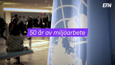 Det här är Stockholm+50