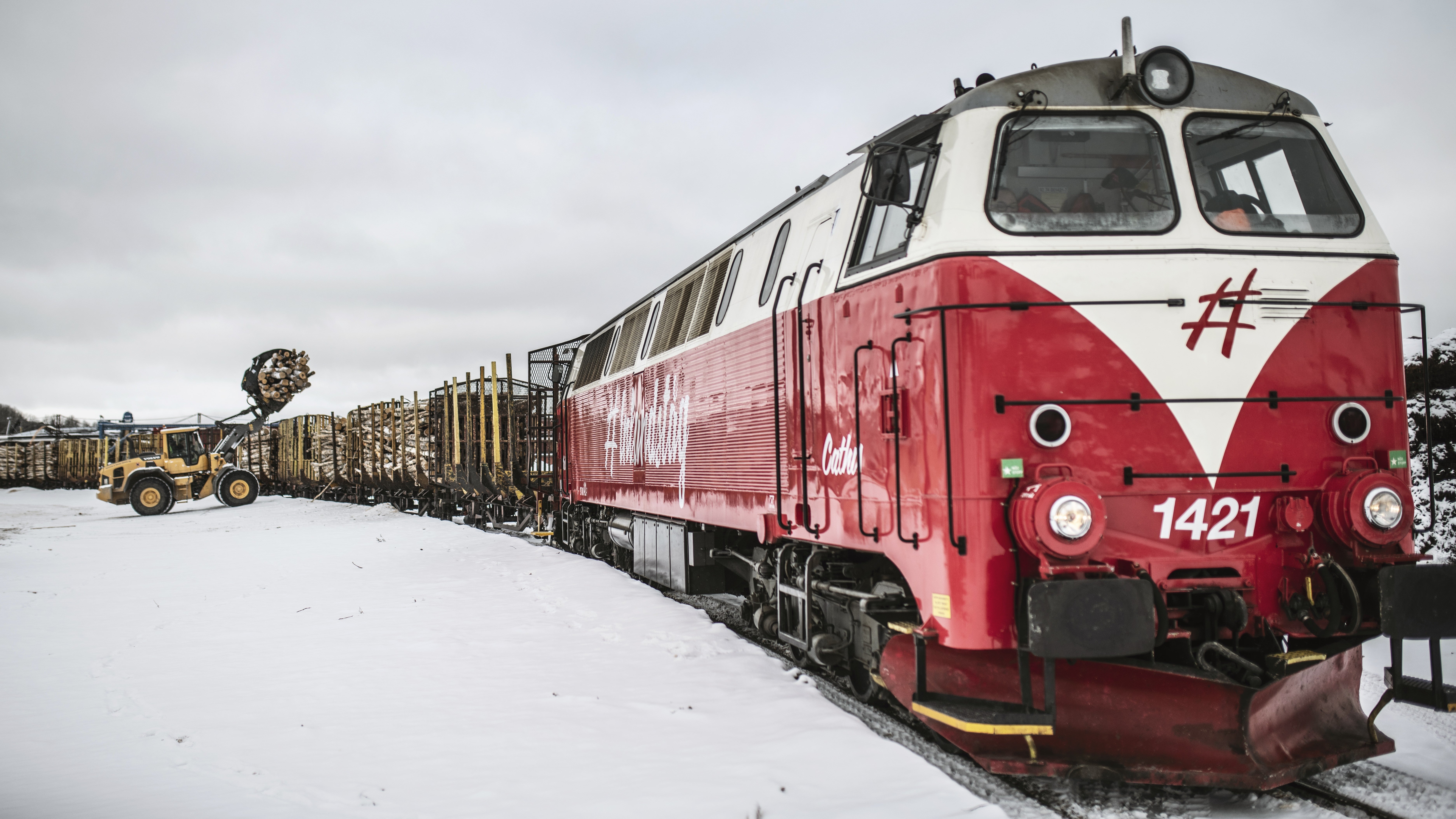 Försvarsmakten sätter ner foten om Inlandsbanan