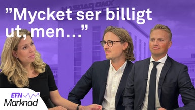 Aktierna som kan trotsa höstens börsoro