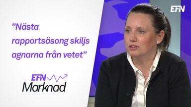 Tre svenska aktiefavoriter