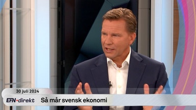 Chefsekonomen om hur svensk ekonomi egentligen mår: ”Bra momentum”