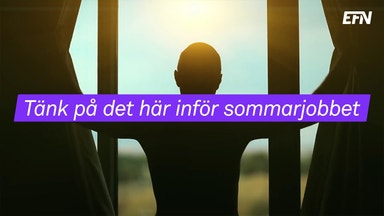 Din guide till sommarjobbet