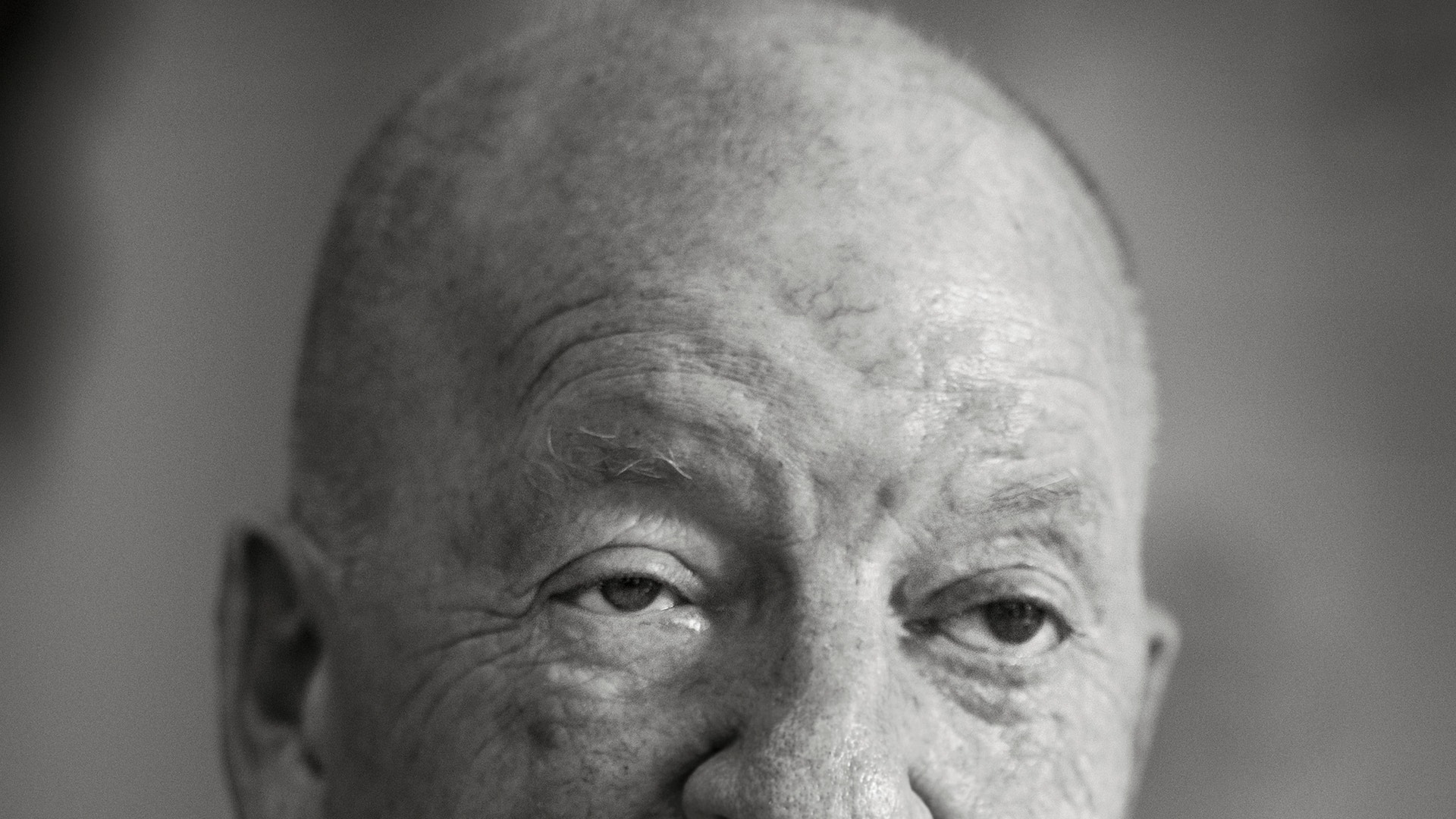 Gyllenhammar, augusti 2024