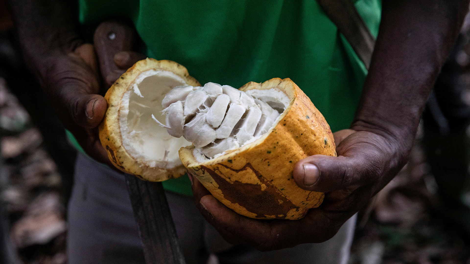 Chokladjätte sänker vinstprognos