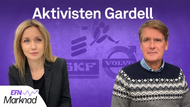 Gardell varnar för tre sektorer inför 2023