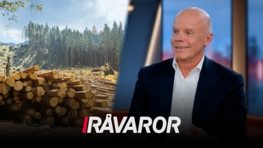 När vänder det för skogen?