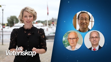 Kan Nobelpriset i kemi göra naturen mer lönsam?