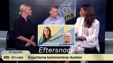 EU-duellen: Erik Spector och Anna Stellinger analyserar SD mot C