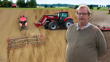 ”Fladdrande priser är det nya normala”