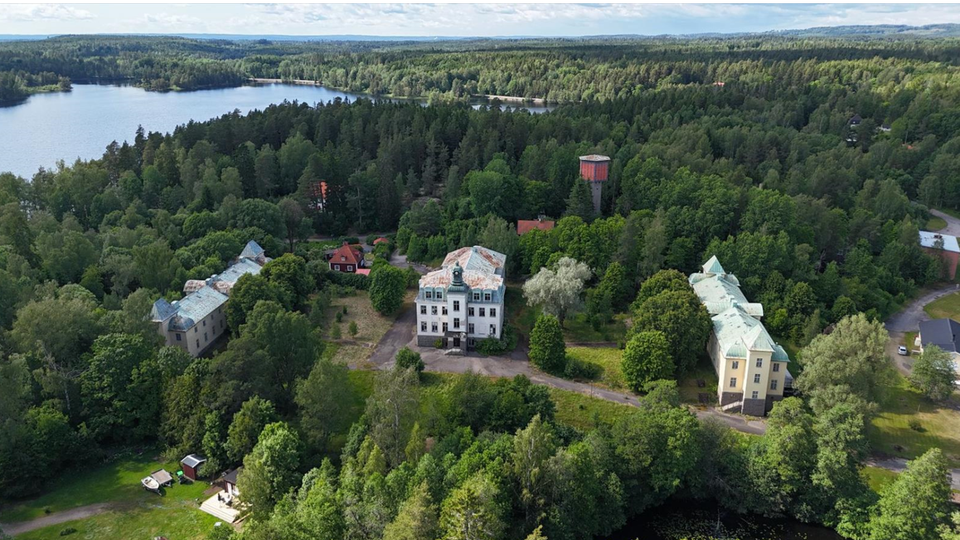 Bilden visar slottsliknande byggnader som är till salu i Motala. Byggnaderna är vita med grått/grönt tak.