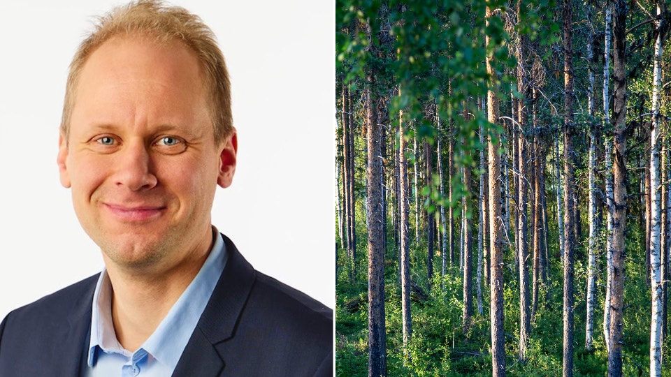 skog Antti Viljakainen