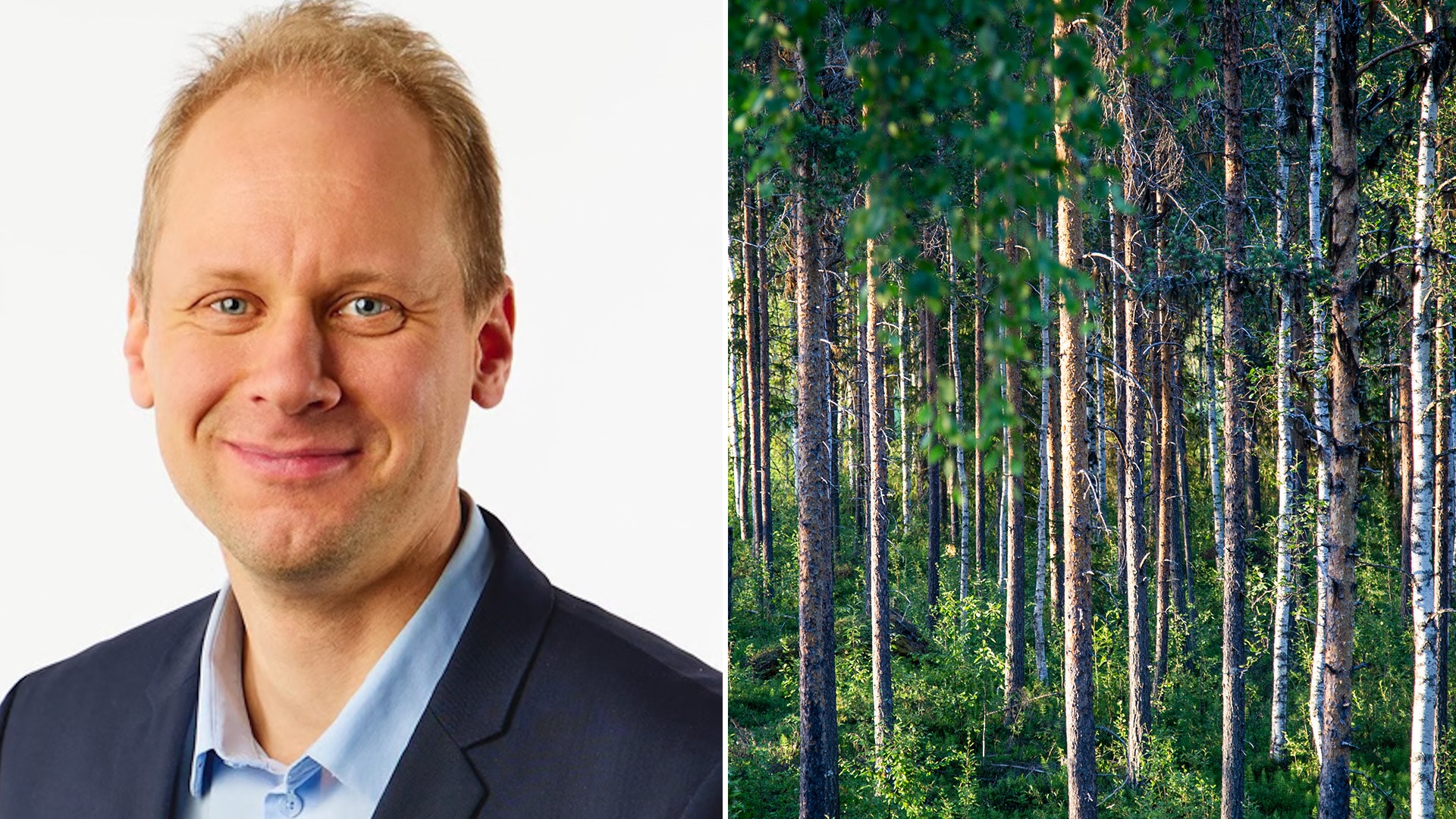 skog Antti Viljakainen