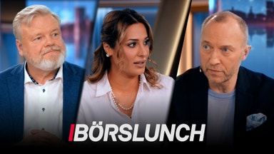 Experterna: Räntepaniken skapar köpläge i stabila sektorn