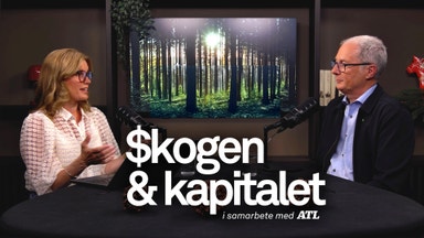 Så bygger du en motståndskraftig skog