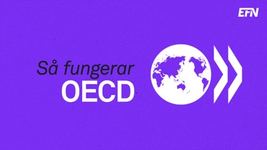 Så fungerar OECD