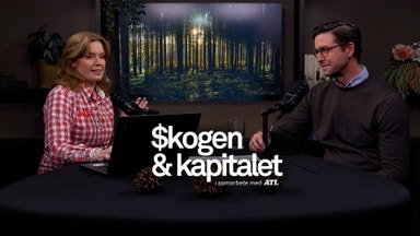 Experten om virkespriserna: “Oron är överdriven”