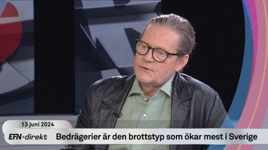 Försäljningschefen om brottstypen som ökar mest i Sverige