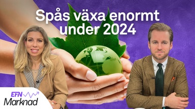 Här är de hetaste marknadstrenderna inom hållbarhet