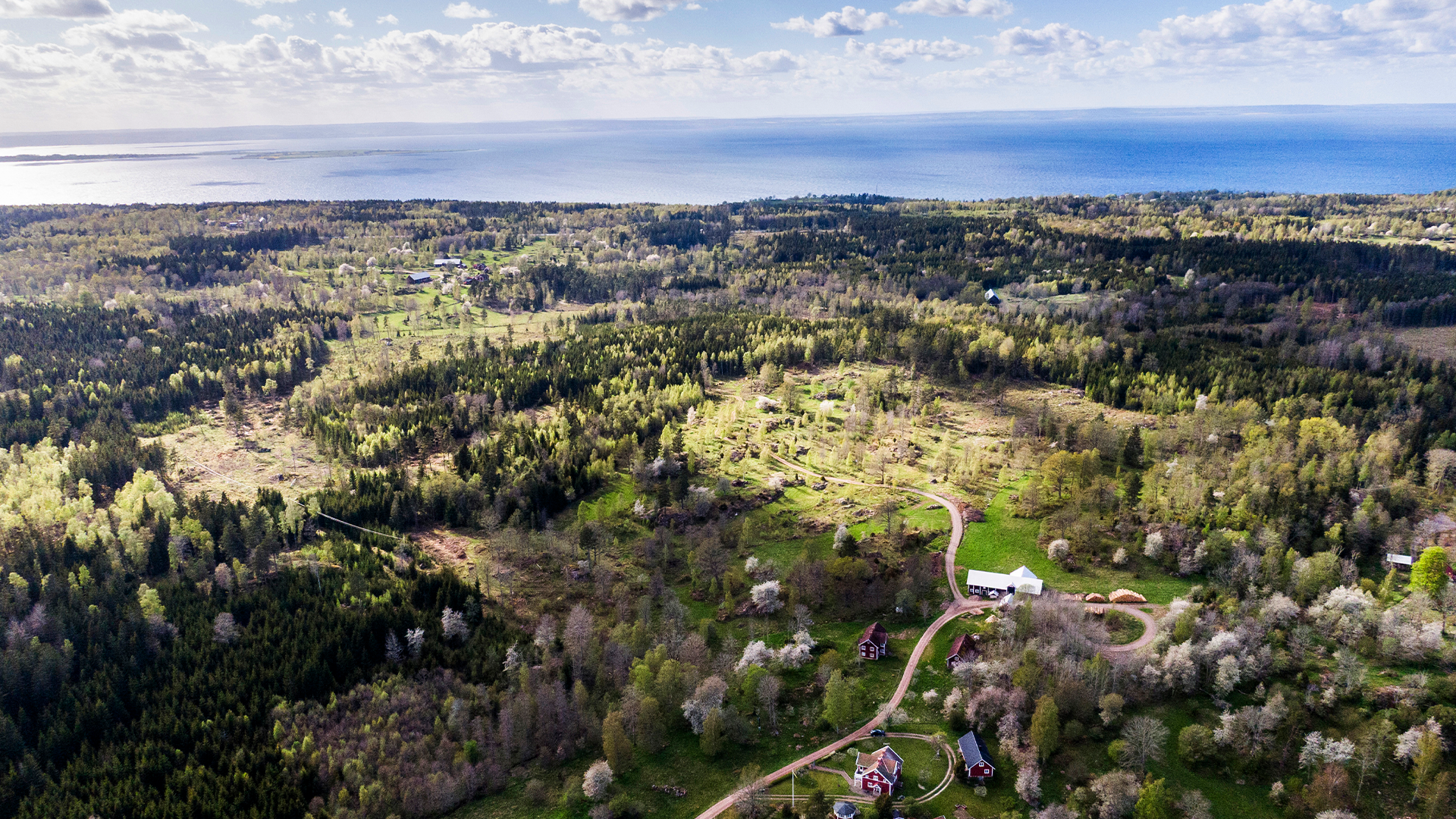 Regeringen avgör gruvfrågan i Norra kärr