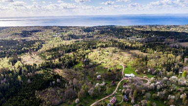 Regeringen avgör gruvfrågan i Norra kärr