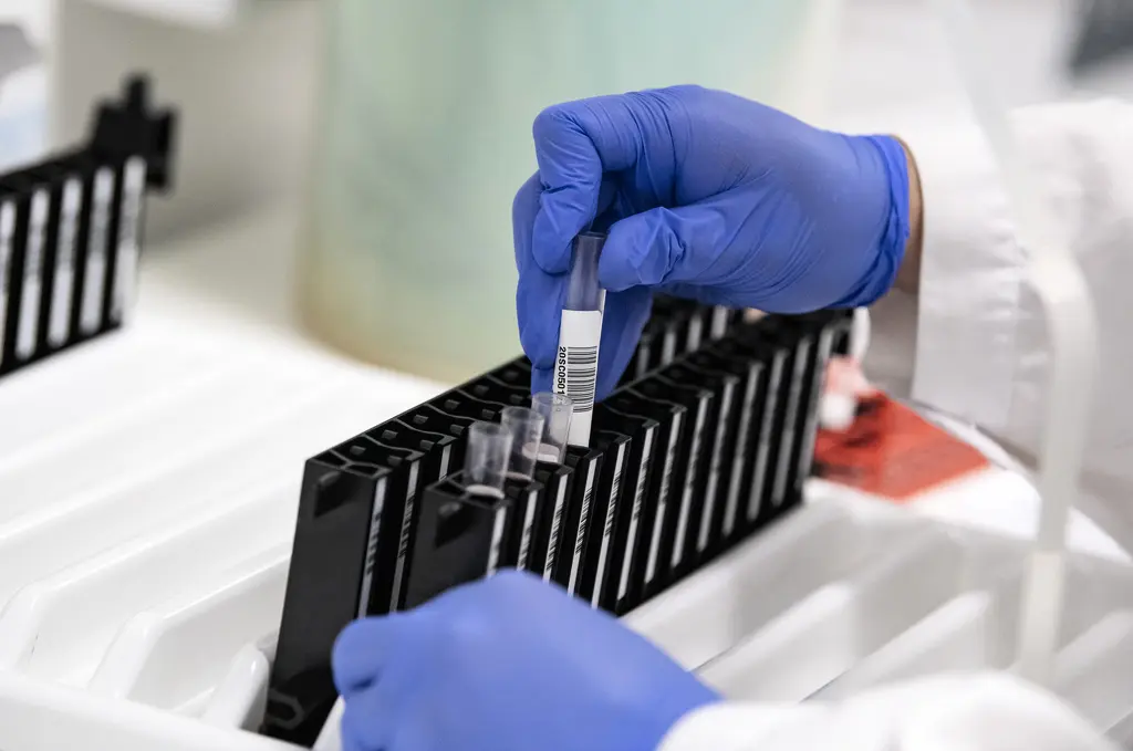 Det ska revolutionera upptäckten av: ”Fantastisk innovation” 