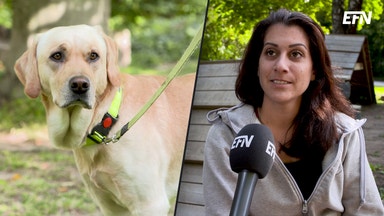 Hundentreprenörens framgångstips