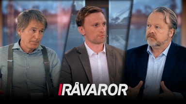 Elprischock väntar hushållen - men det vänder i skogen
