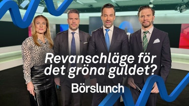 Analytikernas två skogsfavoriter