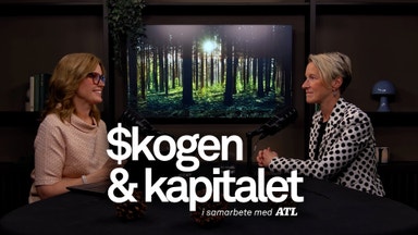 Skogsindustrierna: Därför är svensk skog en ödesfråga
