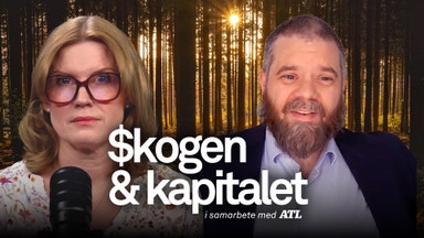 Skogsindustrin pressad – vad krävs för en vändning?