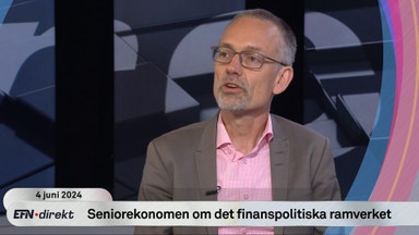 Seniorekonomen om statsskulden:  “35 procent verkar vara väldigt bra”