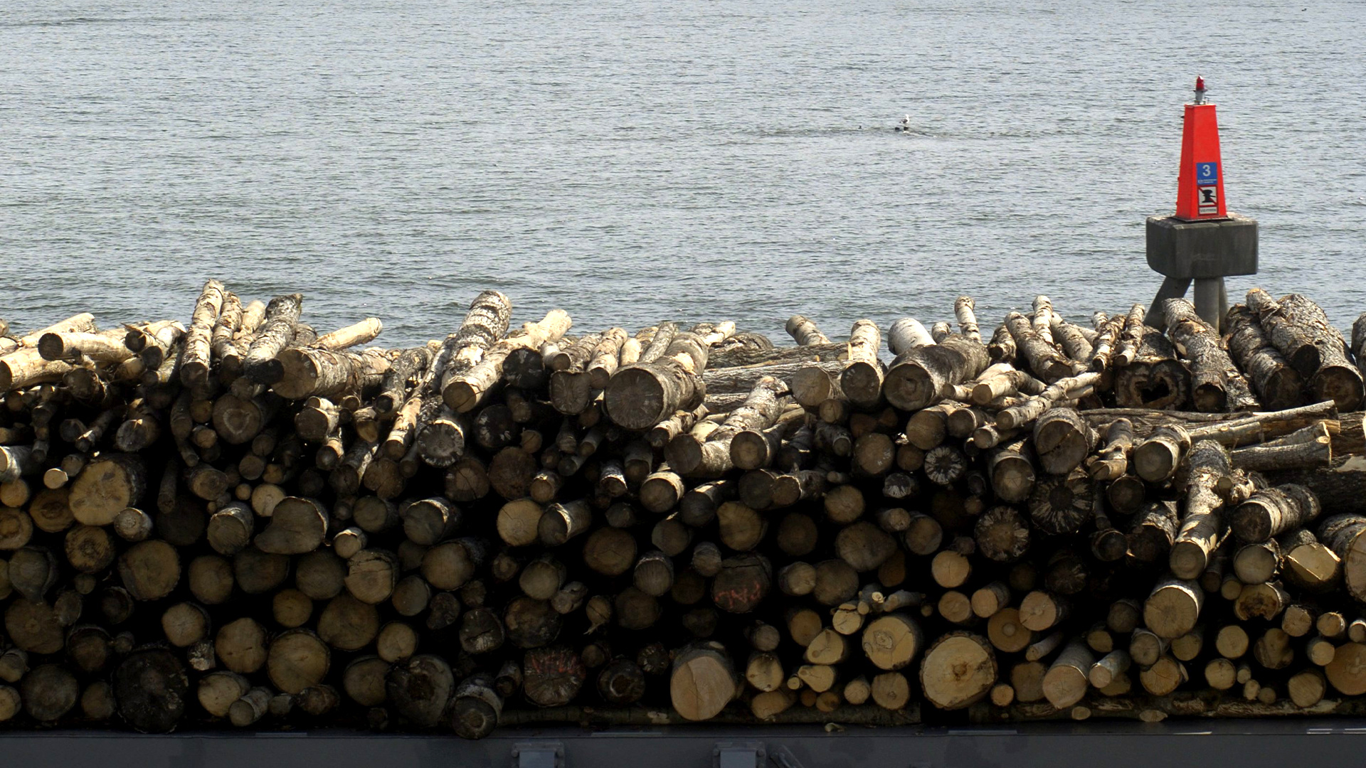 Mellanösternkrisen hotar svensk träexport – trots omväg