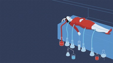 Växande marknad: Nedfrysning i väntan på ett nytt liv