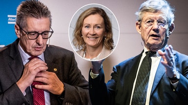 Wallenbergs markering – har aldrig sett köpläge