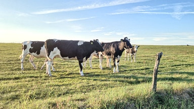 Bra skördar ger svenska lantbrukare rekordutdelning