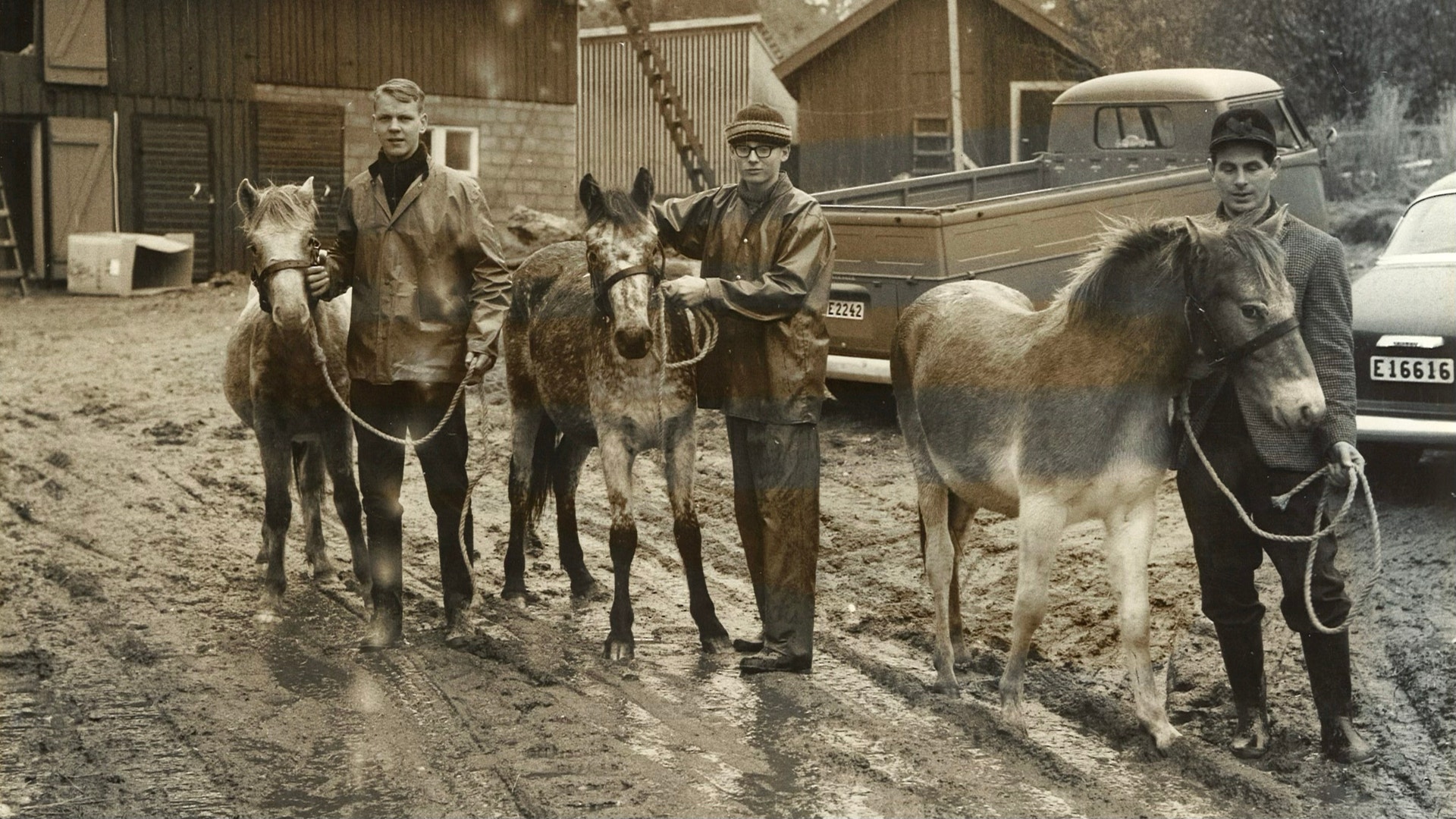 Vintage fotografi från 1964 som visar tre personer som håller i flera getter på en gårdsplan med gamla bilar i bakgrunden.